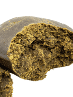 Amnesia Afghan Hasch