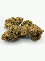 Amnesia Haze – Bild 3