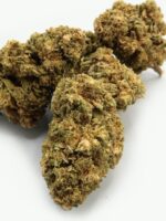 Amnesia Haze – Bild 2