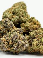 Gorilla Glue – Bild 3