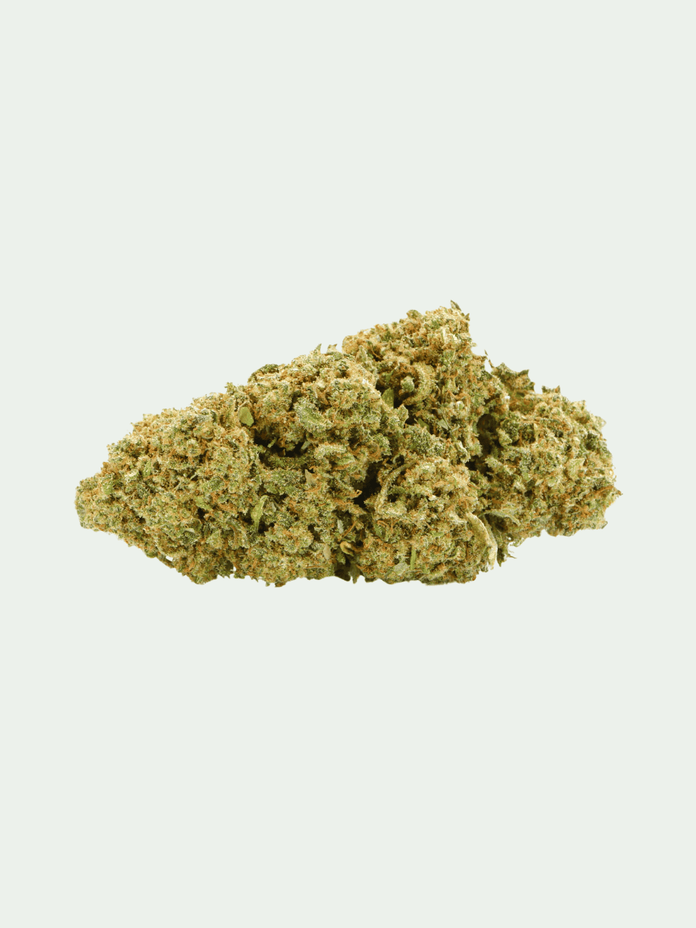 Lime Purple (27) Gorilla Glue 1g – Bild 1