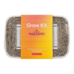 Zuchtset 'Mazatapec' – Bild 2