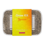 Euweed Zuchtset 'Mexican' – Bild 2