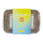 Nurweed Zuchtset 'B+' – Bild 2