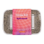 Euweed Zuchtset 'McKennaii' – Bild 2