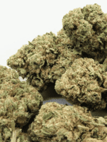 Mango Velvet – Bild 3