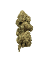 Mango Velvet – Bild 2