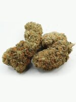 Lemon Skunk – Bild 2