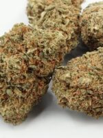 Lemon Skunk – Bild 3