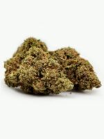 Mango Haze – Bild 2