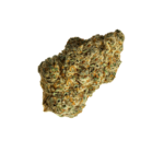 Tannenbusch 31/1 TF "Tubitti Frubitti"